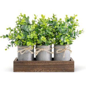 Decorative Galvanized Metal Pots Centerpiece Decor Wood Tray with Eucalyptus
